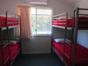 nrma capricorn yeppoon holiday park