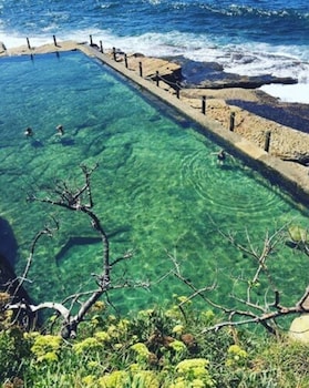 coogee beach house hostel