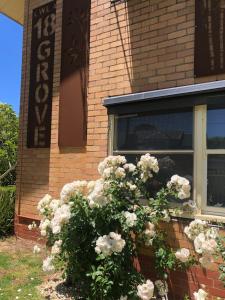 lake wendouree luxury apartments