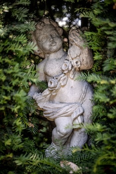 the corinda collection