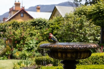 the corinda collection