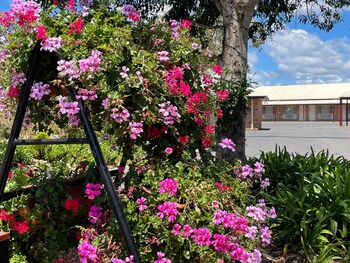 crows nest motel