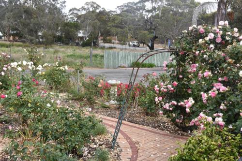 mount barker