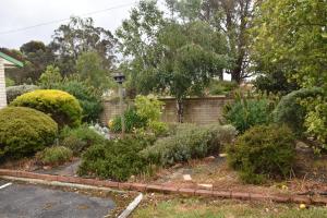 mount barker