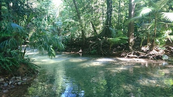 daintree peaks eco stays