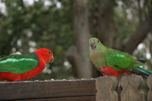 Scotland Island Lodge,Church Point>>Berrilee,2 star