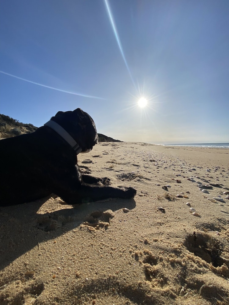 golden beach