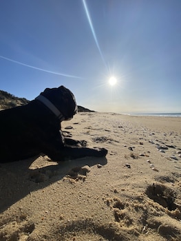golden beach