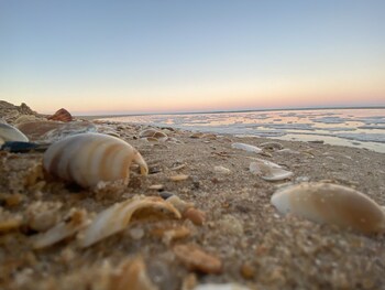 golden beach