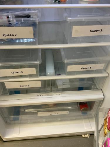 argyle accommodation