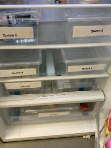 argyle accommodation