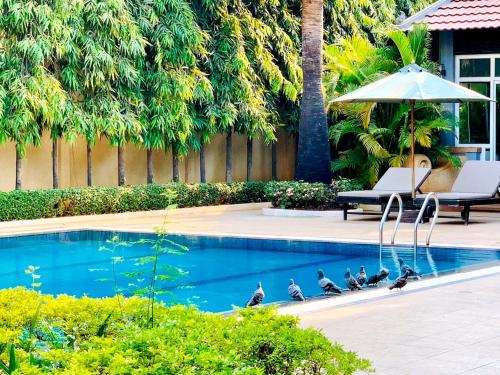 starry angkor hotel