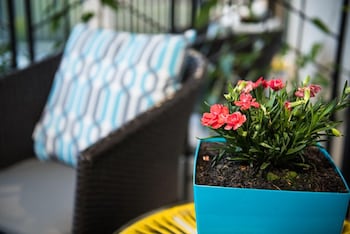 the wellington bed and breakfast