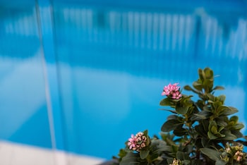 the wellington bed and breakfast