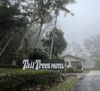 tall trees motel