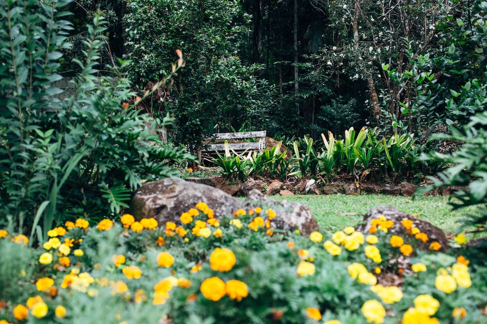tamborine mountain