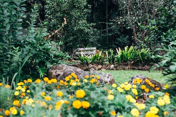 tamborine mountain