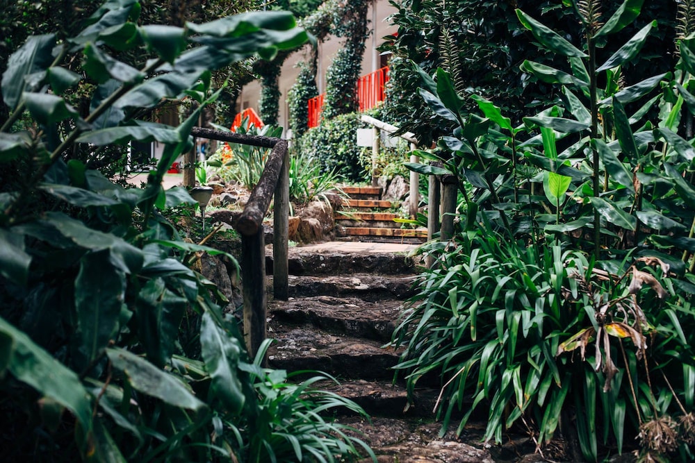 tamborine mountain