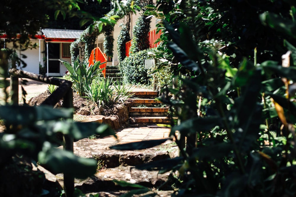 tamborine mountain