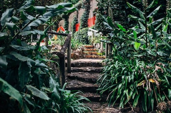 tamborine mountain
