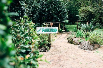 tamborine mountain