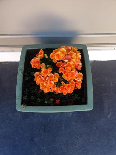 morwell parkside motel