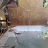 pualy resort and spa