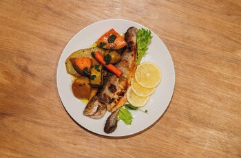 cyan soho neuquen hotel