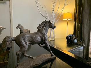 3 paardekens city centre hotel