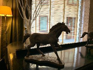 3 Paardekens - City Centre Hotel,Mechelen>>Antwerp,3 star