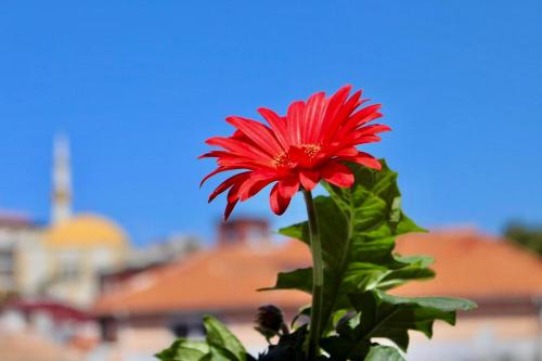 durres