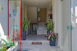 saint trope studios