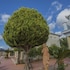 garbis villas