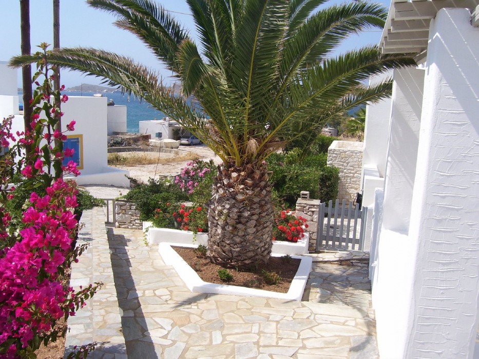 paros