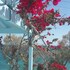 paros