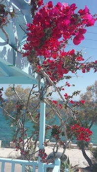 paros carmel