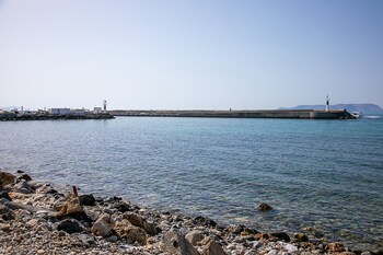 rania studios