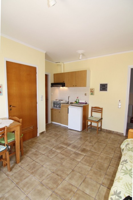 oasis apartments