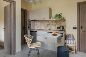oasis apartments