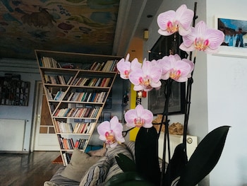 guesthouse vissinokipos