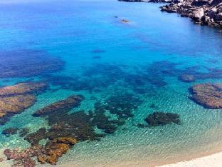 olive mykonos villas