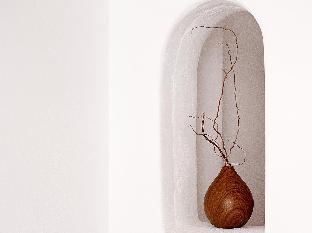 olive mykonos villas