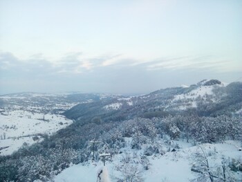 Guest House Ilektra,Nestorio>>Kastoria,3 star