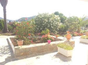patmos