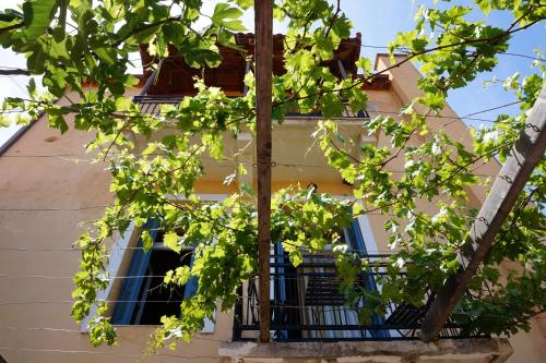 Hotel-Img
