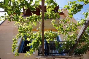 guesthouse arhontiko