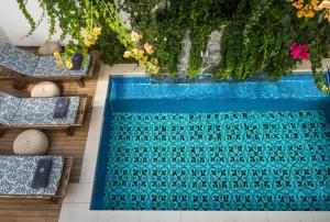 enorme serenity spritz adults only