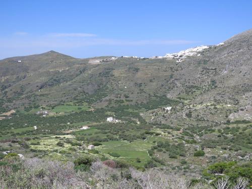 kaminaki amorgos studios and apartments