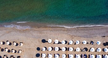 dyo suites