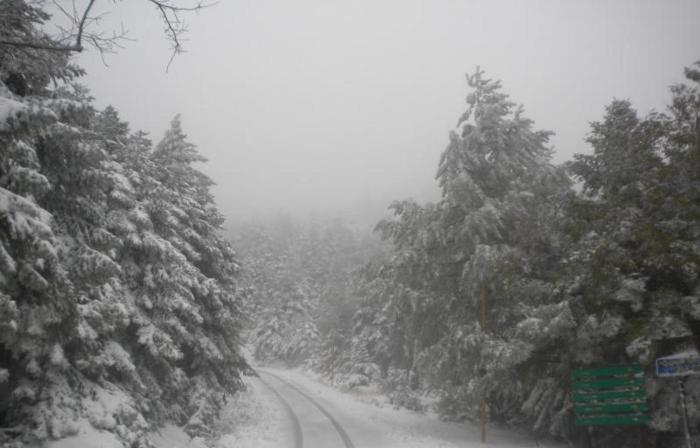 cavallari palace hotel